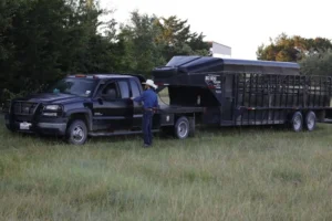 Read more about the article The Benefits of Investing in a High-Quality Livestock Trailer