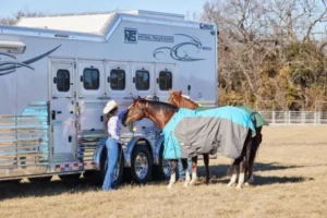 Read more about the article Bearing Maintenance for Your Trailer